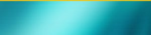 Synchrony HOME Network